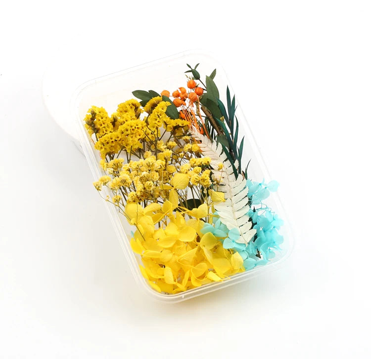 Fleurs Séchées Naturelles pour Créations DIY – Résine & Bougies