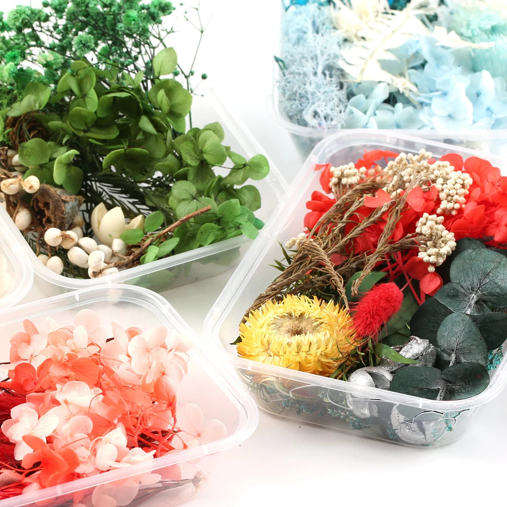 Fleurs Séchées Naturelles pour Créations DIY – Résine & Bougies