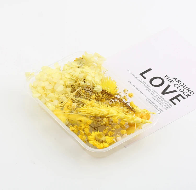 Fleurs Séchées Naturelles pour Créations DIY – Résine & Bougies