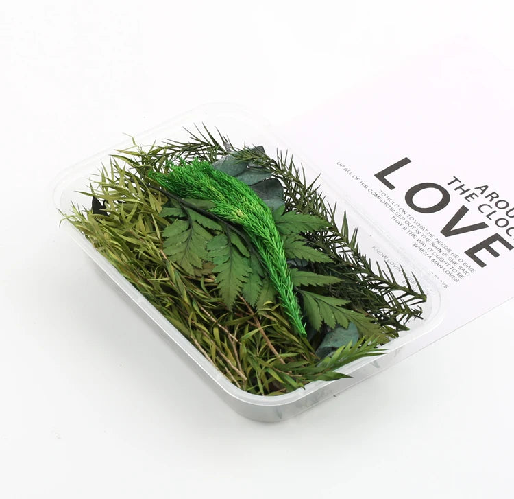 Fleurs Séchées Naturelles pour Créations DIY – Résine & Bougies