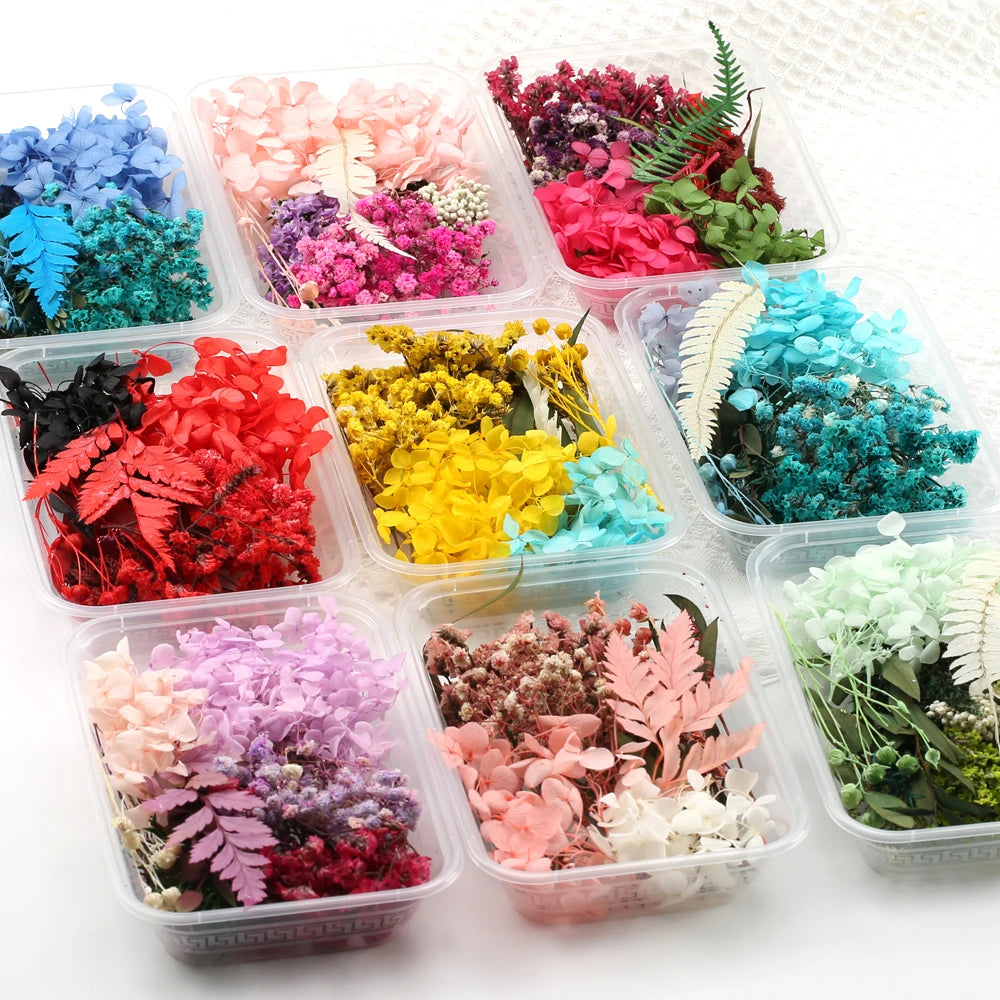 Fleurs Séchées Naturelles pour Créations DIY – Résine & Bougies