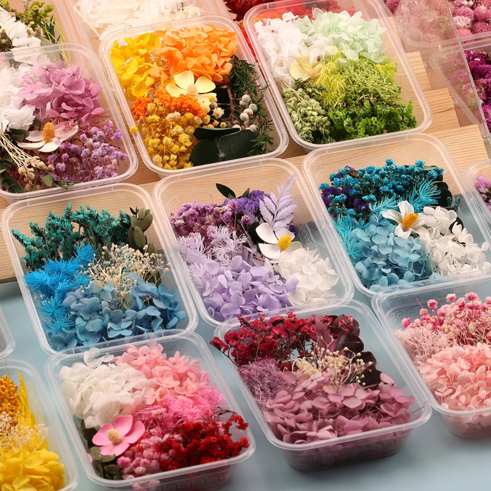 Fleurs Séchées Naturelles pour Créations DIY – Résine & Bougies