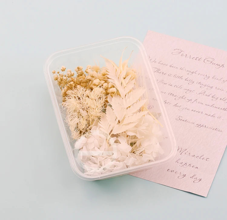 Fleurs Séchées Naturelles pour Créations DIY – Résine & Bougies