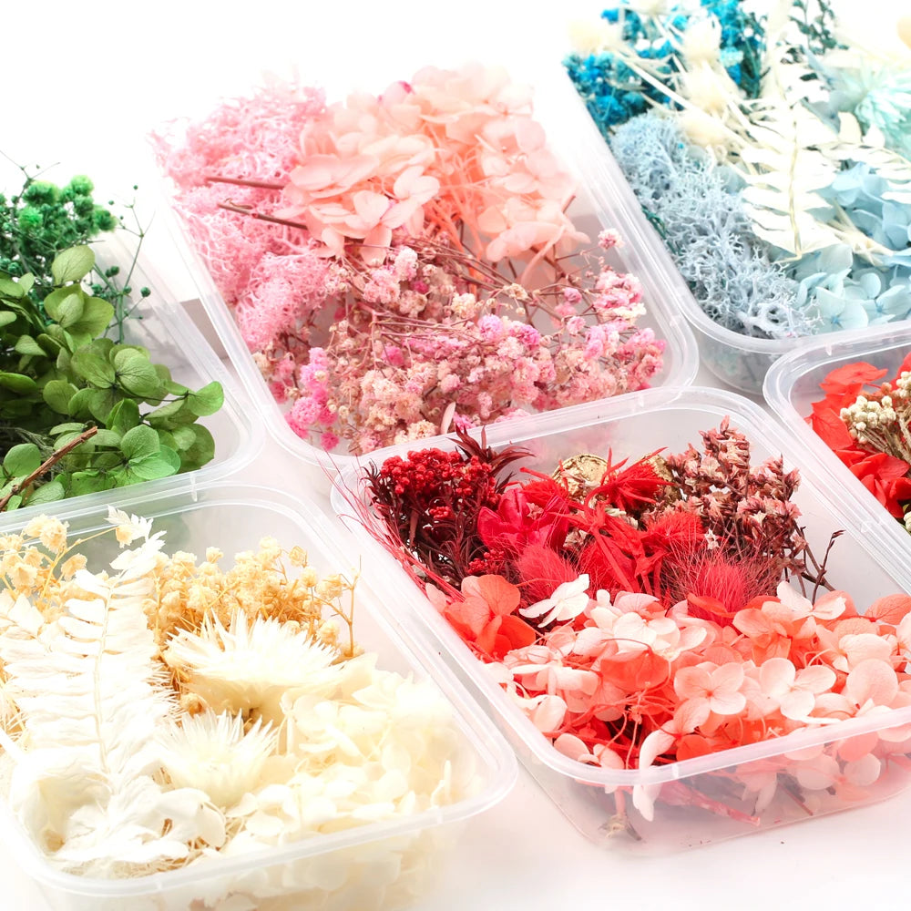 Fleurs Séchées Naturelles pour Créations DIY – Résine & Bougies
