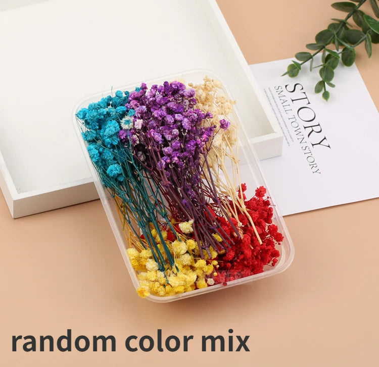 Fleurs Séchées Naturelles pour Créations DIY – Résine & Bougies