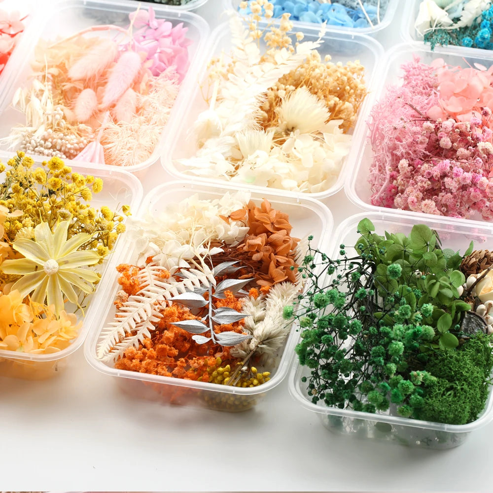 Fleurs Séchées Naturelles pour Créations DIY – Résine & Bougies