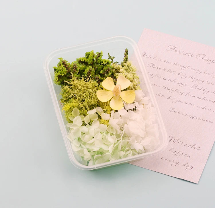 Fleurs Séchées Naturelles pour Créations DIY – Résine & Bougies