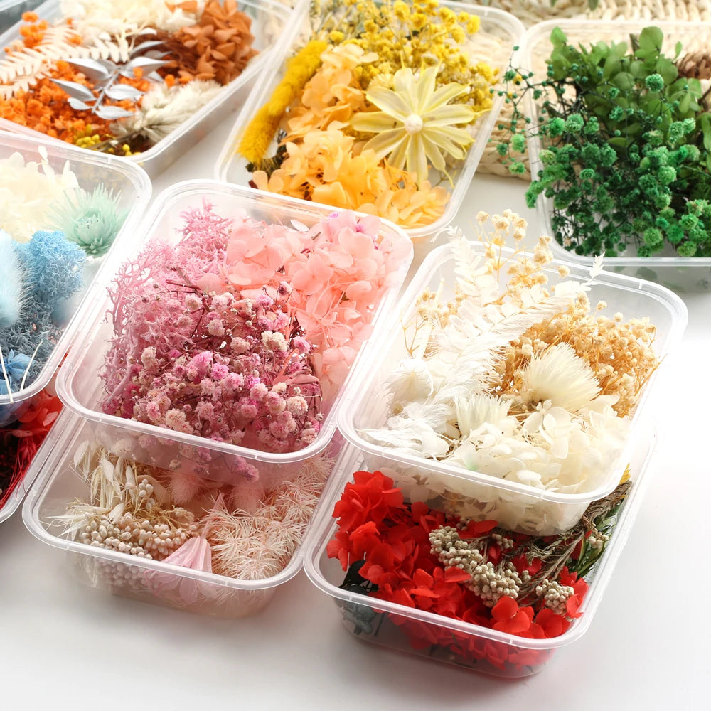 Fleurs Séchées Naturelles pour Créations DIY – Résine & Bougies