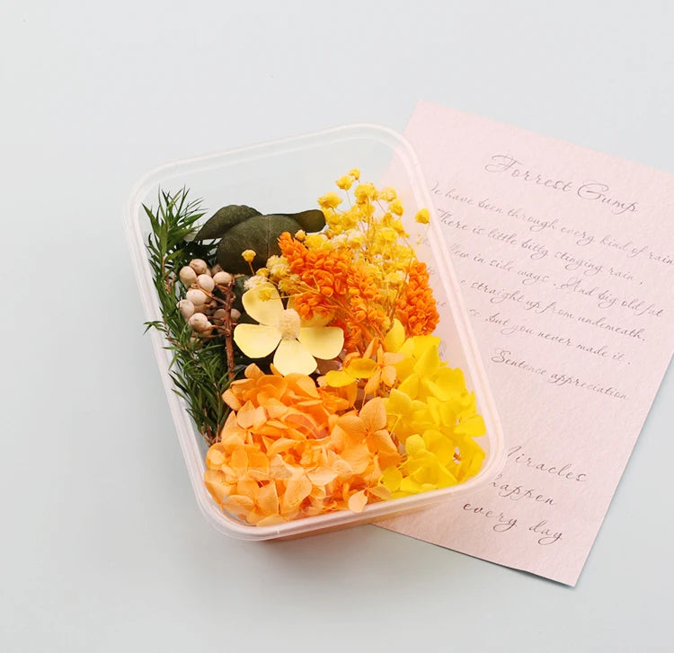 Fleurs Séchées Naturelles pour Créations DIY – Résine & Bougies