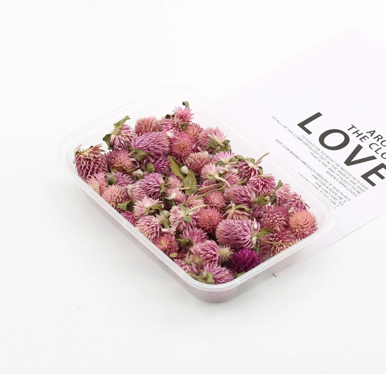 Fleurs Séchées Naturelles pour Créations DIY – Résine & Bougies