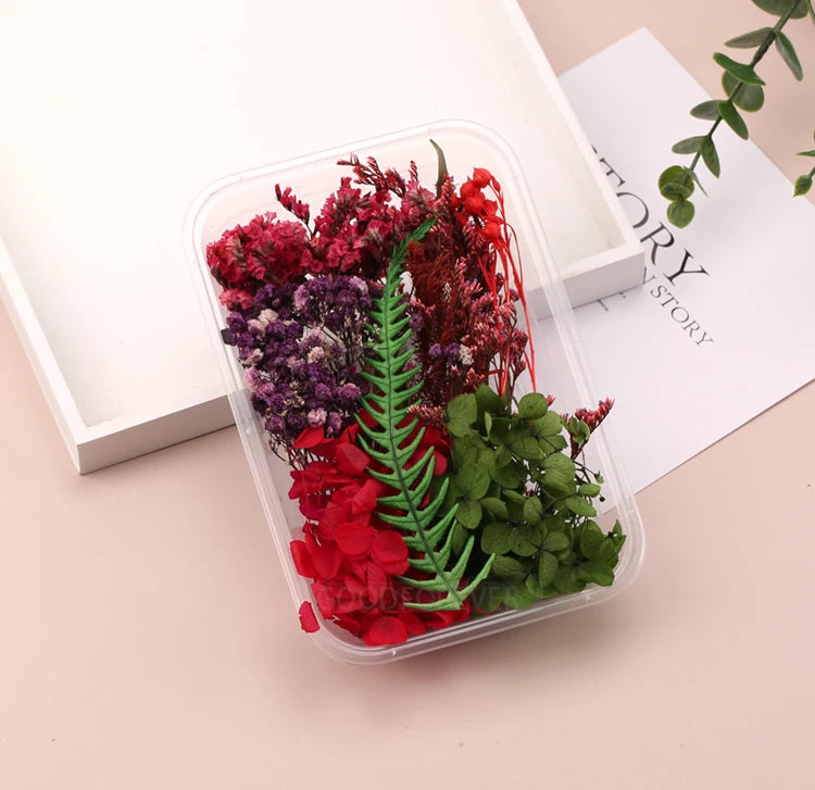 Fleurs Séchées Naturelles pour Créations DIY – Résine & Bougies
