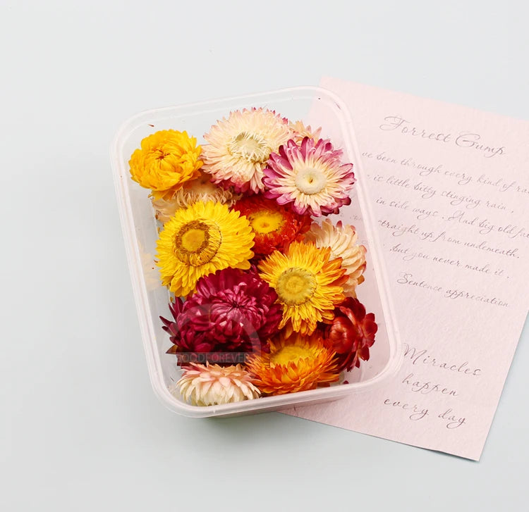 Fleurs Séchées Naturelles pour Créations DIY – Résine & Bougies