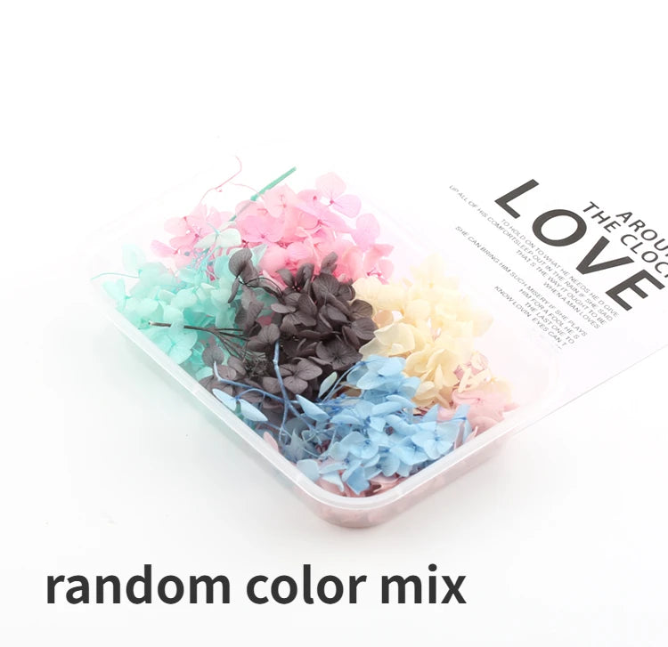 Fleurs Séchées Naturelles pour Créations DIY – Résine & Bougies